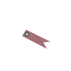 étiquette fanion rose avec œillets